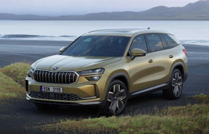 Car test: with the new Kodiaq, Skoda shakes up the SUV