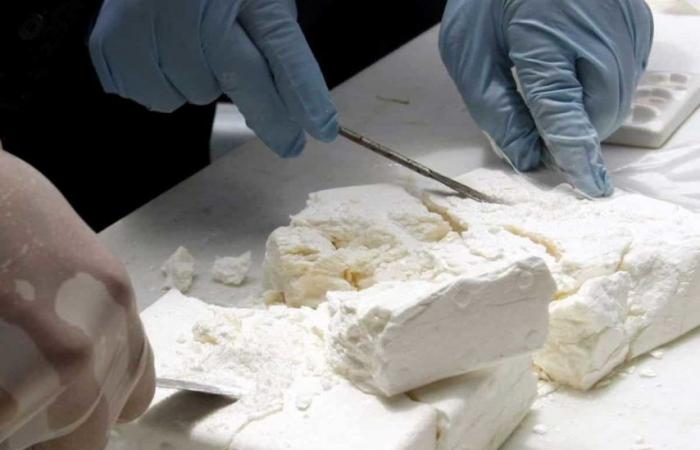 more than 100 kg of cocaine seized in the south of the country (Customs)