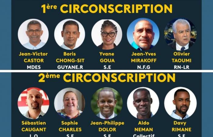 2024 legislative elections: Parity in Guyana, five candidates in each constituency