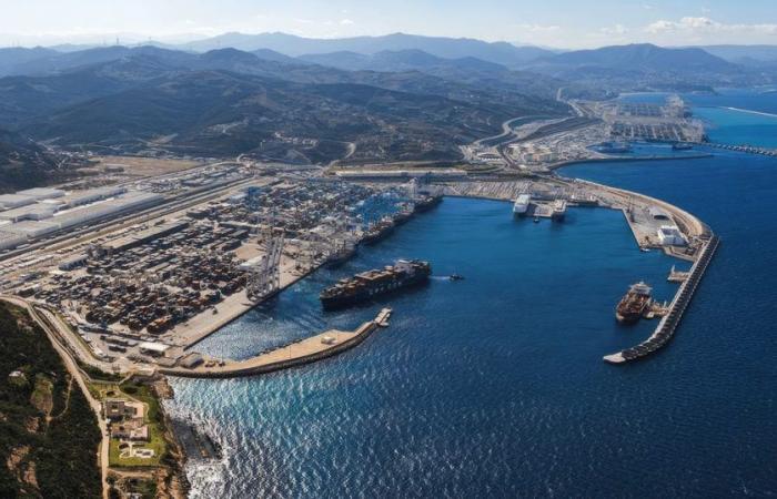 Maritime traffic: the insolent good health of the Tanger Med port