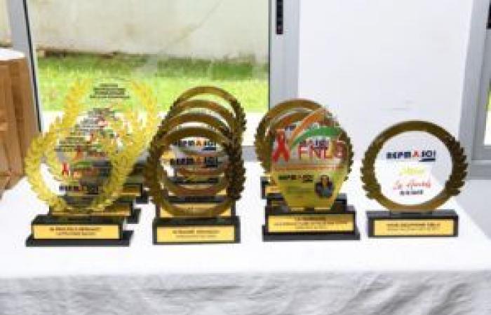 Ivory Coast-AIP/The super prize in the media production competition on pediatric HIV won by a journalist from the national Catholic radio – AIP