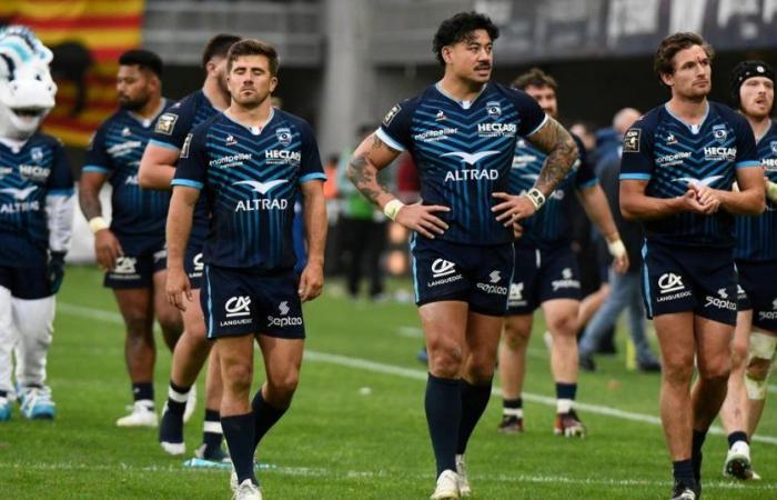 LIVE – Grenoble-Montpellier: the locals restart the match after a good start from the MHR