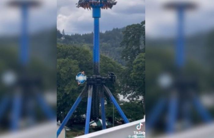 Miscellaneous facts – Justice – “I thought I wasn’t going to live much longer”: in Portland, 28 people remain stuck upside down on a merry-go-round