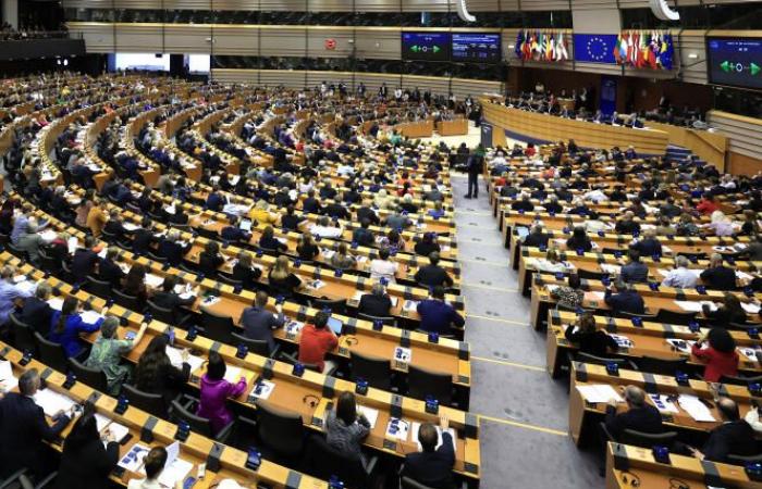 In the European Parliament, the hunt for MEPs is on