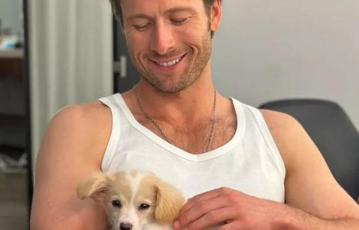 Brisket, actor Glen Powell’s dog, escapes his master’s surveillance during a commercial flight and delights all the passengers