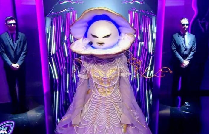 which singer was hiding behind the Pearl costume?