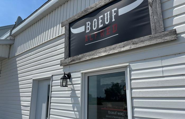 Wagyu beef continues its growth with a luxury snack in Lac-Saint-Jean