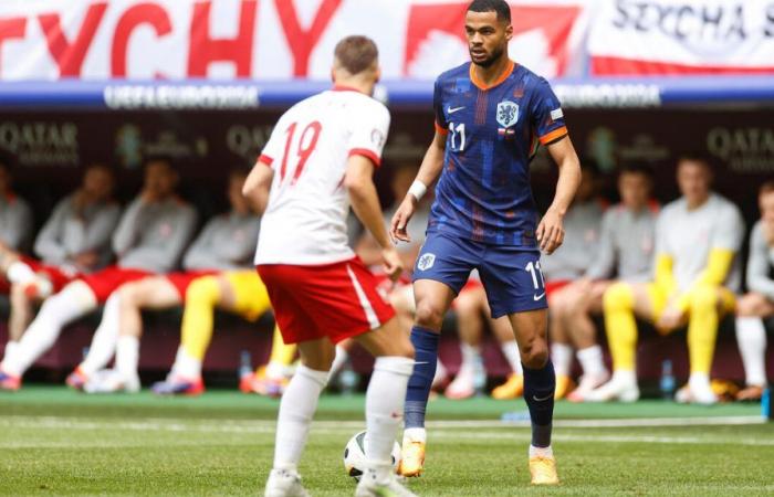 DIRECT. Poland – Netherlands (1-1): the Oranje equalize thanks to Gakpo