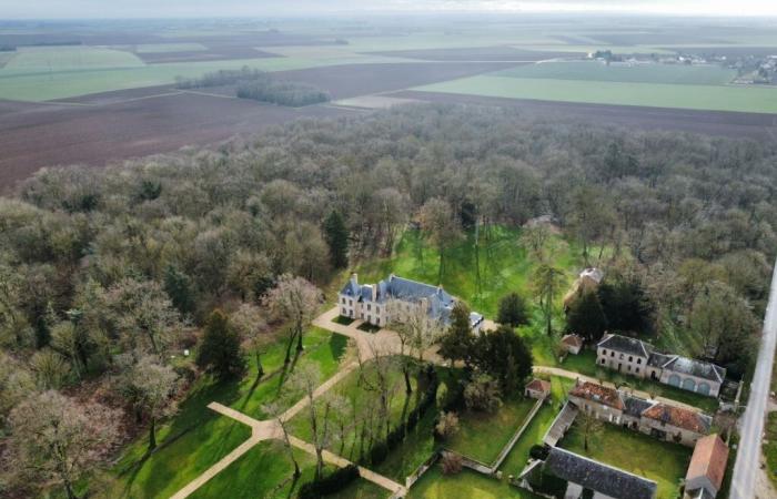 Essonne: this elegant 18th and 19th century castle is for sale