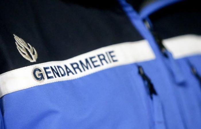 The national gendarmerie launches a call for witnesses after a series of scams in Vaucluse