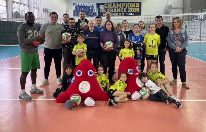 Mende Lozère Volleyball, new club to perpetuate the practice of this sport in the department
