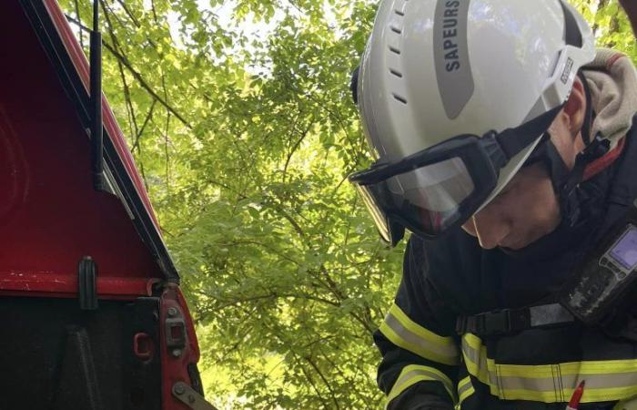 Swore. The department’s firefighters hosted a forest fire training course | Weekly 39