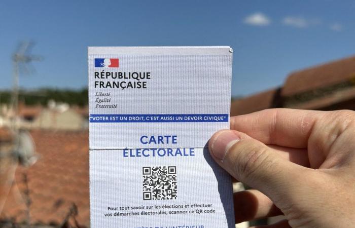 2024 legislative elections: all the candidates in the Pyrénées-Orientales