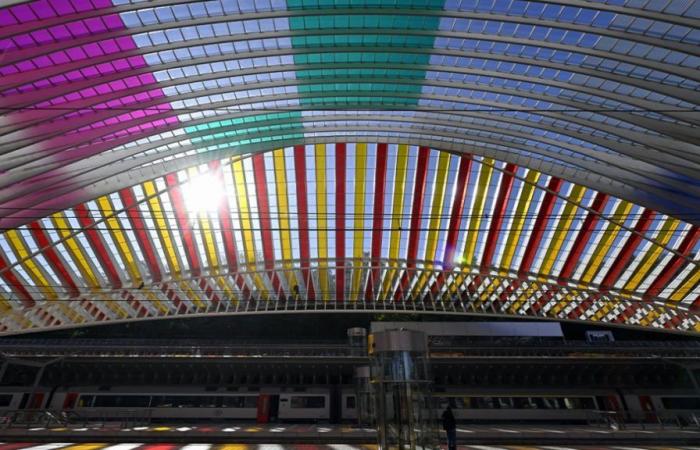 The Liège-Guillemins station is no longer adorned with its colorful glass roofs: “It is an ephemeral work in essence”