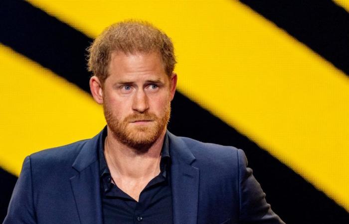 Prince Harry: “The other…”, this not tender nickname he sometimes gives to Camilla
