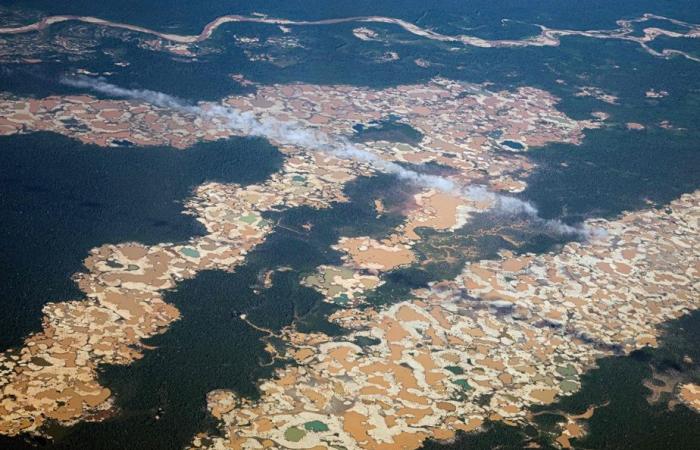 Peru | The Amazon consumed by illegal gold mining