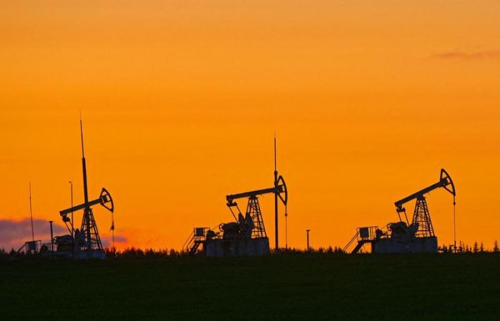 Commodity overview: Oil holds up