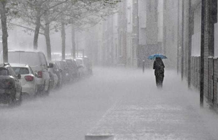 Weather: thunderstorms, hail and “heavy accumulations” of rain expected this Tuesday in the Nord and Pas-de-Calais