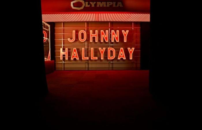 185,000 visitors for the “Johnny Hallyday” exhibition in Paris: “I expected more”