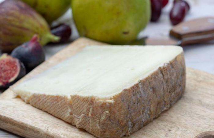 be careful, these sheep’s cheeses can make you sick