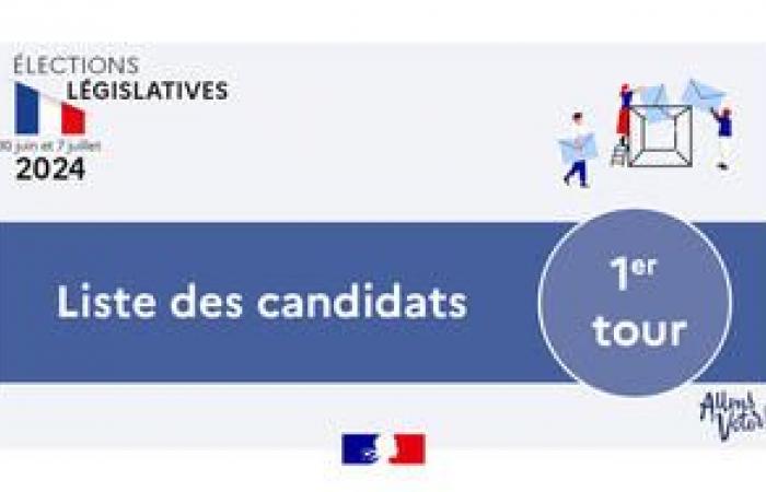 Legislative elections 2024 – List of candidates for the 1st round in Lot-et-Garonne – CANDIDATES – Legislative elections 2024 – Political elections – Citizenship – State actions