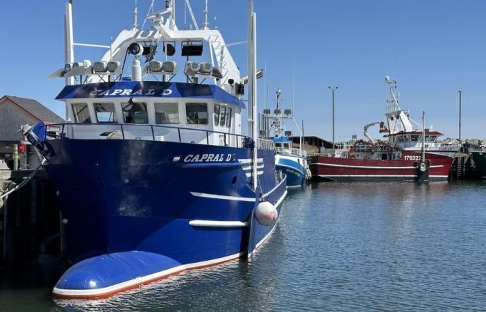 Ottawa remains vague on future management of fishing ports