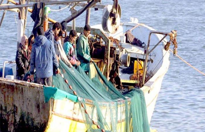 44% drop in fishing landings at the port of Laâyoune at the end of April