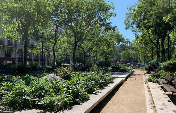 The administrative court rejects the Parisian “ramblas” project