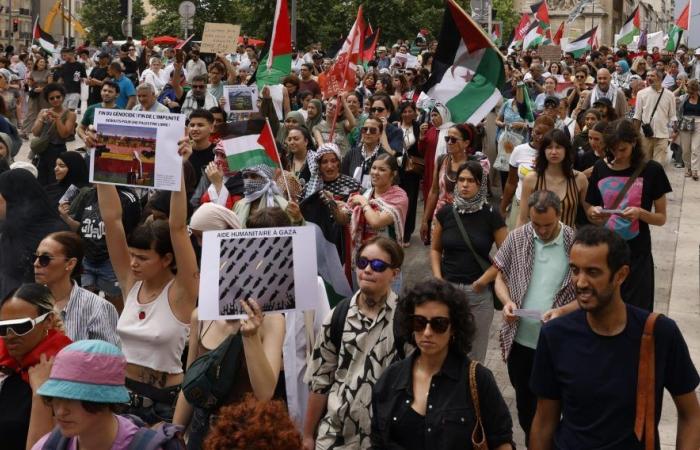 “Against fascism, there is no other vaccine than the past”: Marseillais demonstrate in support of Gaza
