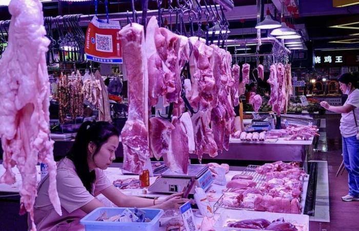 China announces opening anti-dumping investigation into imports of European pork