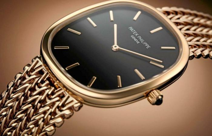 Do you know the Ellipse d’Or watch from Patek Philippe?