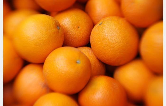 Fewer late citrus fruits from Morocco this season
