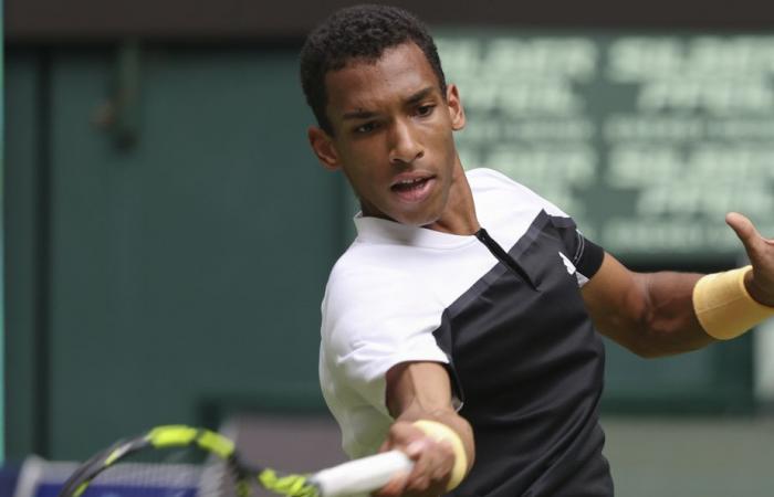 Halle Tournament | Auger-Aliassime retires, record for Raonic and victory for Fernandez