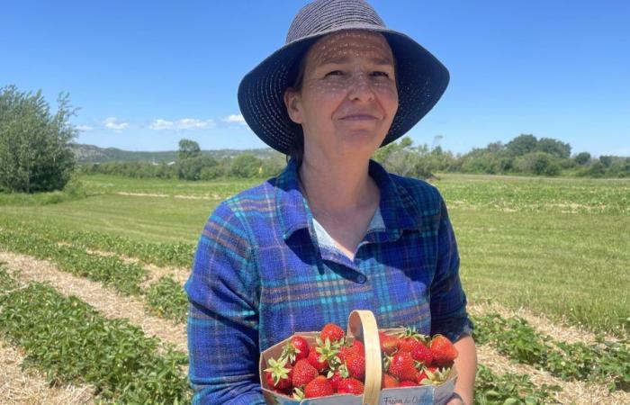 The sun is shining for farmers in Eastern Quebec
