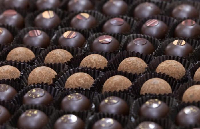 The chocolate of the future will contain little or no cocoa