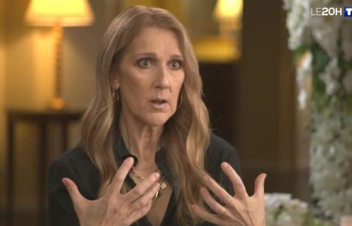 Audiences Sunday: Céline Dion’s interview by Anne-Claire Coudray makes the counters of TF1’s “20 Heures” soar