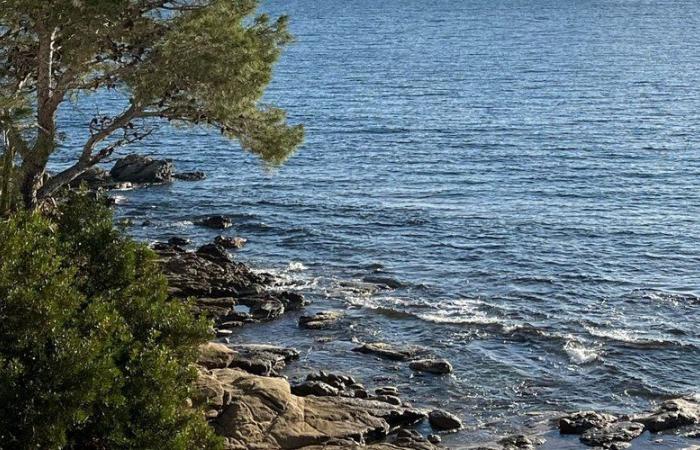 A Frenchman was found dead stuck at a depth of 10m… This Catalan beach recorded a second death this Sunday