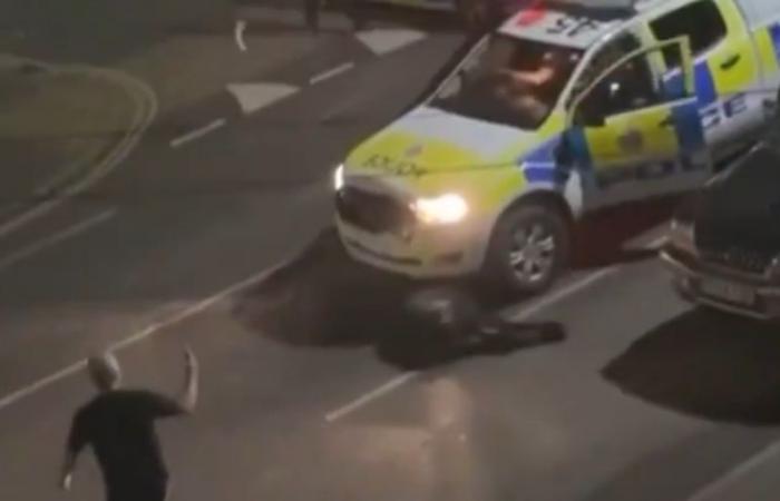 VIDEO. Controversy across the Channel after a police officer hit a fleeing cow: “The decision was made to stop it using a car”, explains the police