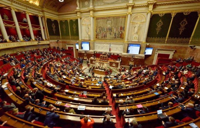 Legislative elections 2024: here are all the candidates for the constituencies in the south of Seine-et-Marne