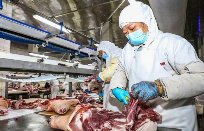 China: anti-dumping investigation into imports of European pork