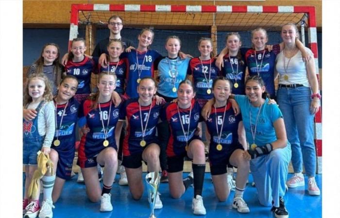 Four Somme Cups at home for EAL handball in Abbeville