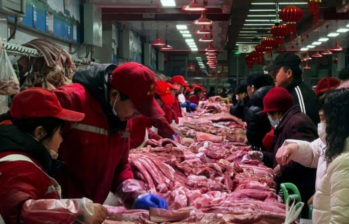 China opens anti-dumping investigation into pork imports from the EU – 06/17/2024 at 1:13 p.m.