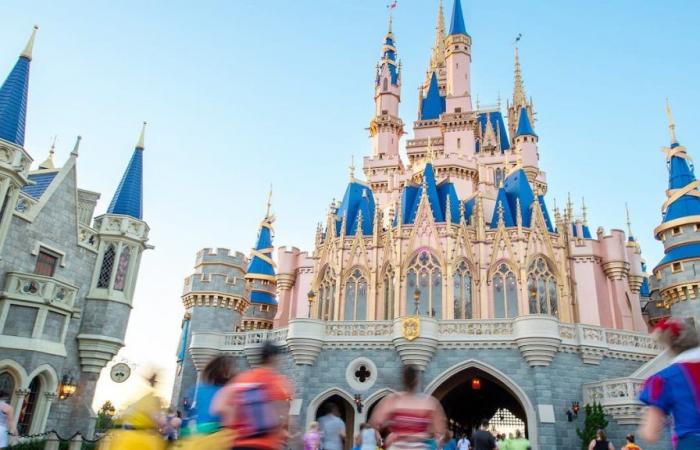 Disabled access service: Disney parks tighten their criteria for queues