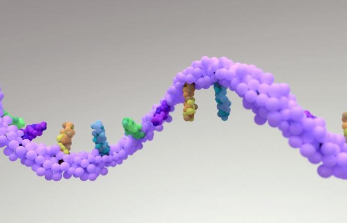 Messenger RNA: second wave of growth