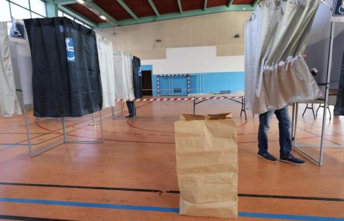 Legislative elections 2024: in Seine-Maritime, the RN finally hopes to win deputies