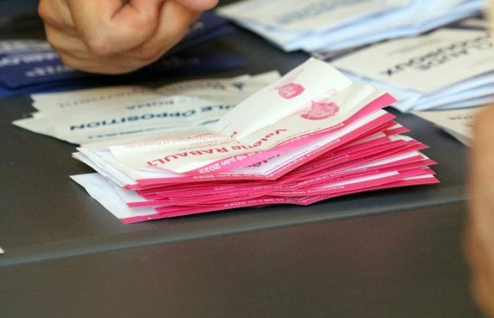2024 legislative elections in Tarn-et-Garonne: twelve candidates validated in the two constituencies of the department