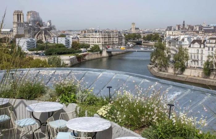 A magnificent rooftop with a view of the Seine opens at the top of the Tour d’Argent