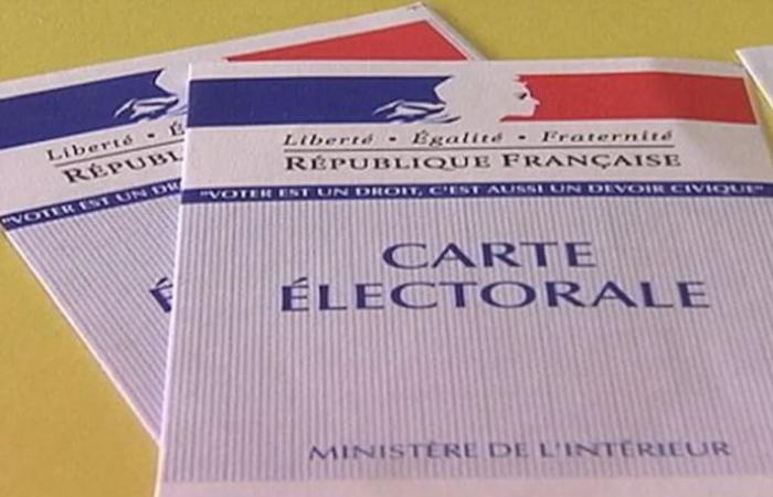 2024 legislative elections: start of the first round electoral campaign this Monday, June 17