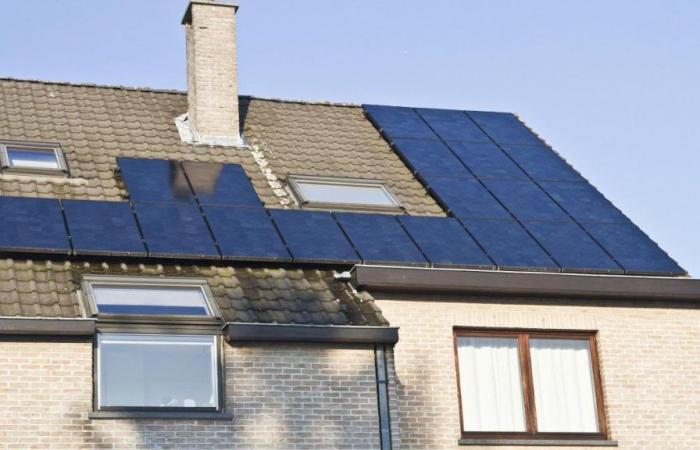 Brussels photovoltaics: “The energy crisis has shattered the green certificate system”
