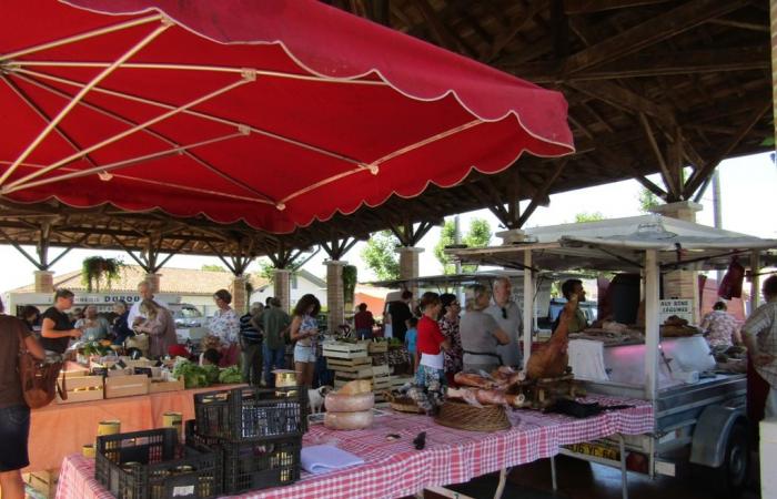 Traditional market Under the Montfort-en-Chalosse hall Wednesday June 19, 2024